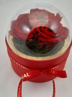 Örökrózsák búrás dobozban D13