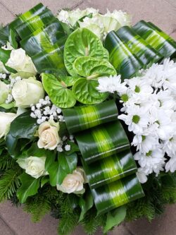 Fekvő dombkoszorú  D50