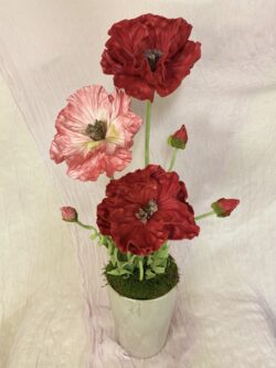 Nagy kaspó pipacsokkal,gondozásmentes